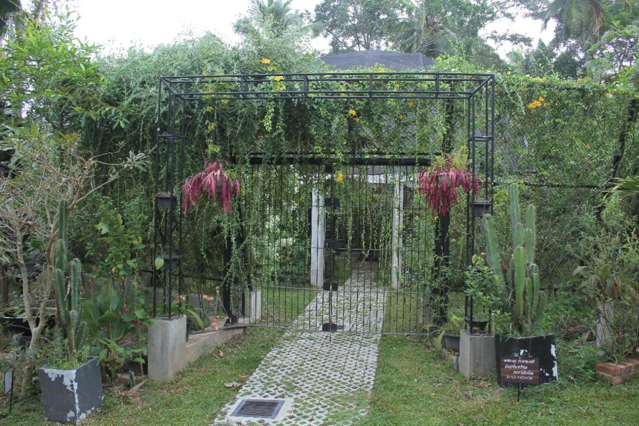 Ceylon Kingsmen Garden Hotel - Katunayake เนกอมโบ ภายนอก รูปภาพ